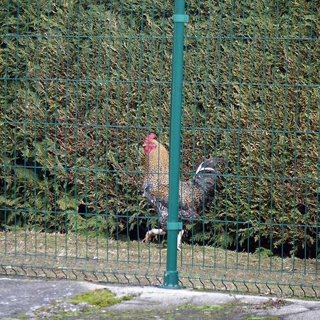 La Crova Villa Felines Ngoại thất bức ảnh